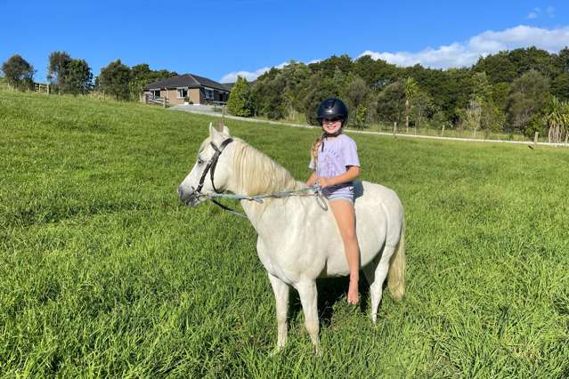 Big enough to horse around!