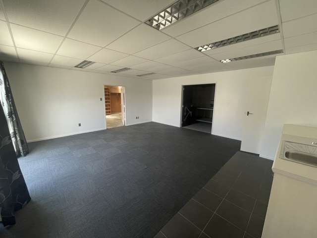 Rear Unit/66 Wakefield Street Onekawa_1