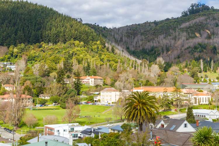 211a Hampden Terrace Nelson South_20