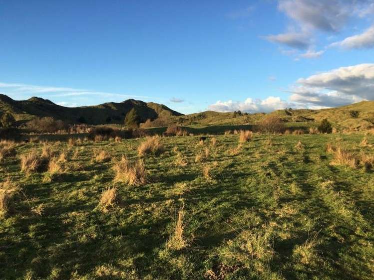 1427 Waitaanga Road Ohura_7