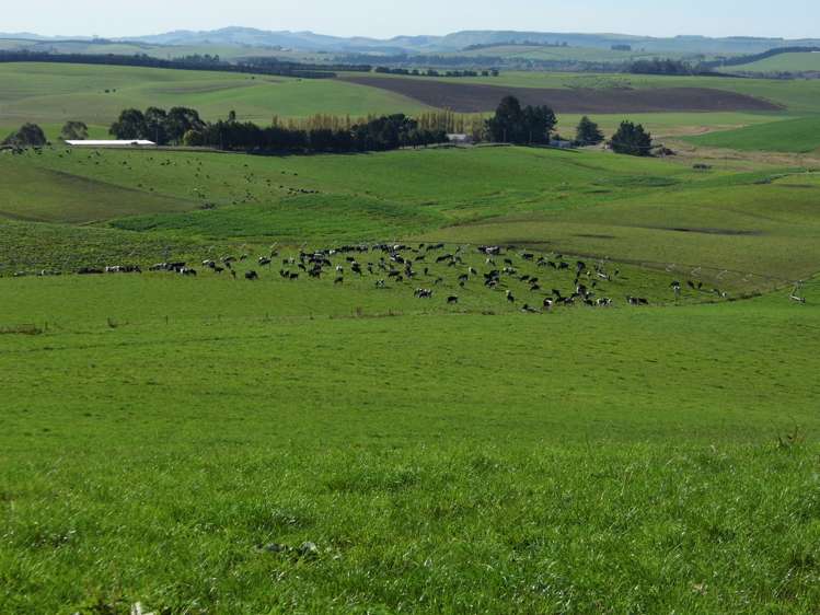 301 Whartons Road Five Forks and Surrounds_0