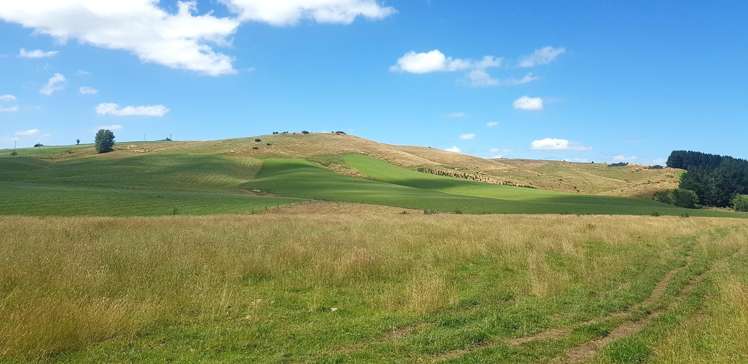 182 Beacon Hill Road Wairuna_9