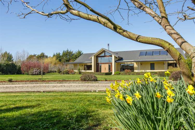 8 Mclean Drive Leithfield_23