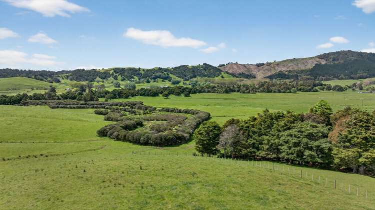 54 Edgerley Road Kaipara Flats_23