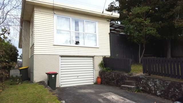 5a Locke Avenue Mount Roskill_1