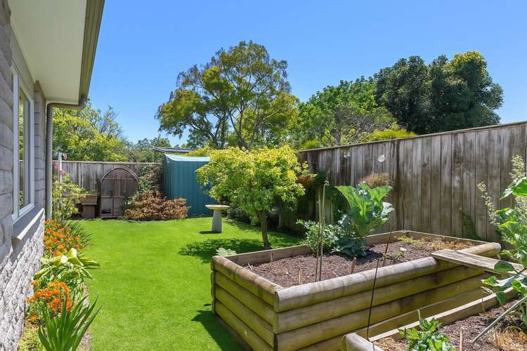 205 Clifford Street Whataupoko_16