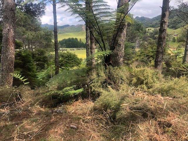 205 Kaimarama Road Kaimarama_1