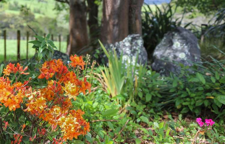 145 Hall Road Rangiriri_39