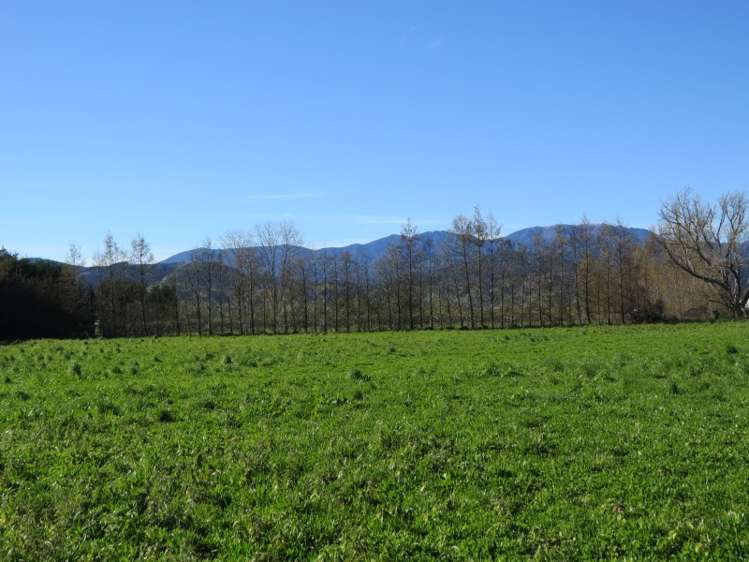 120 Palmer Road Brightwater_1