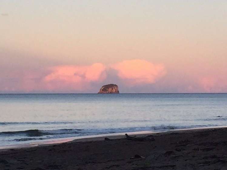 18 Pye Place Hot Water Beach_14