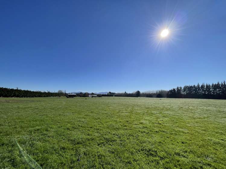 185 McIntoshs Road Fernside_11