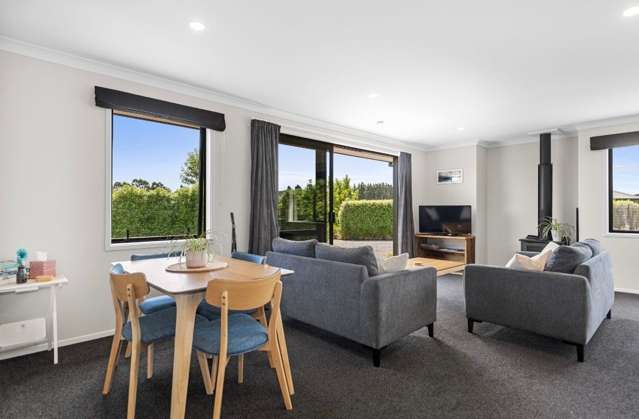 13 Brennan Lane Swannanoa_4