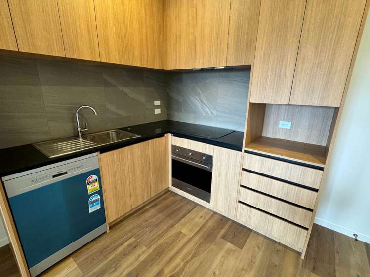 202/48 Clay Works Lane New Lynn_3