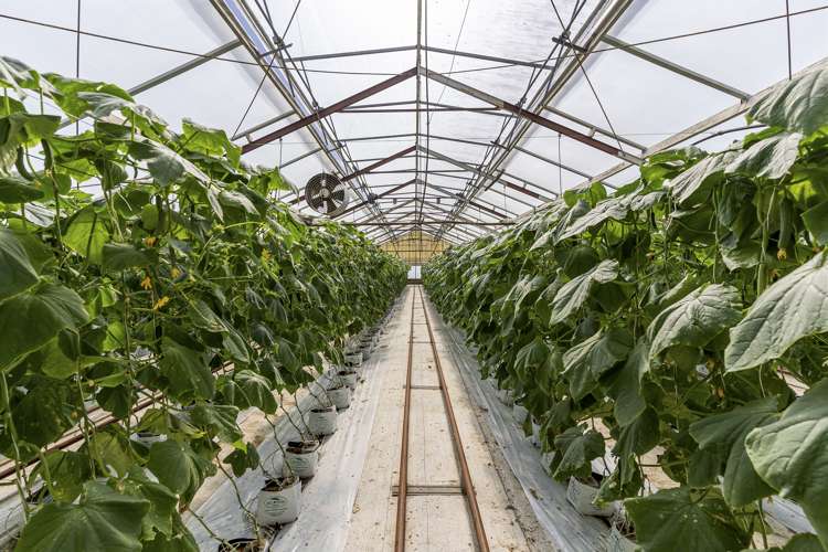 386 Drury Hills Road Drury_15