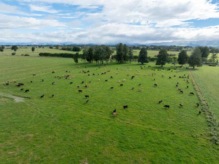 780 Wani Road Paeroa_11