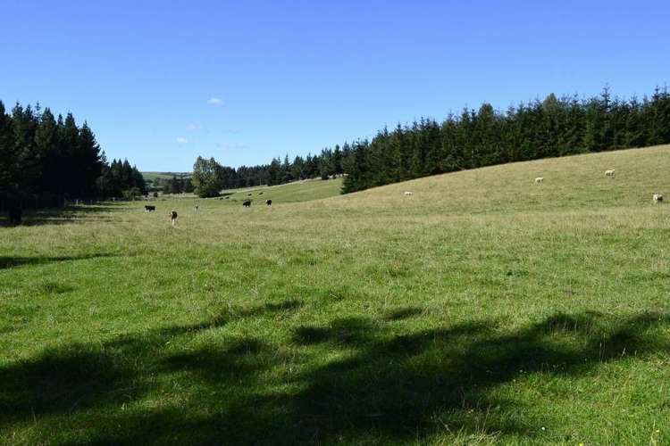 452 Falla Burn Road Balclutha_16