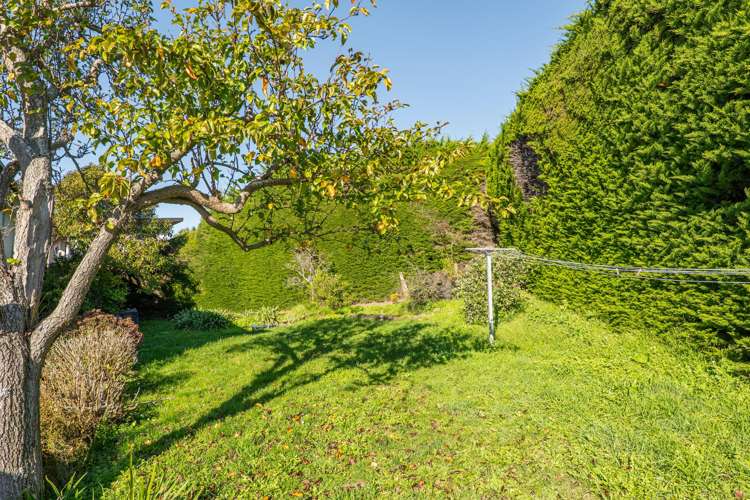 70 Belleview Terrace Mt Pleasant_32