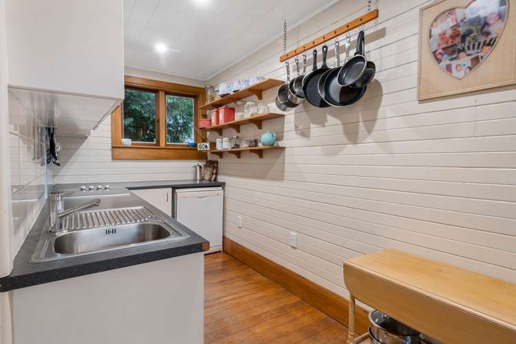 60 Longfellow Street Sydenham_11