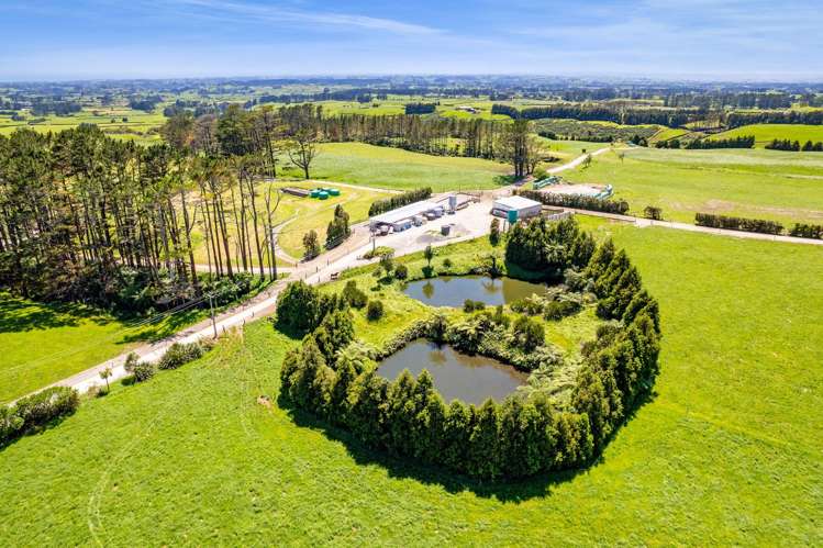 1627 Mangorei Road Korito_12