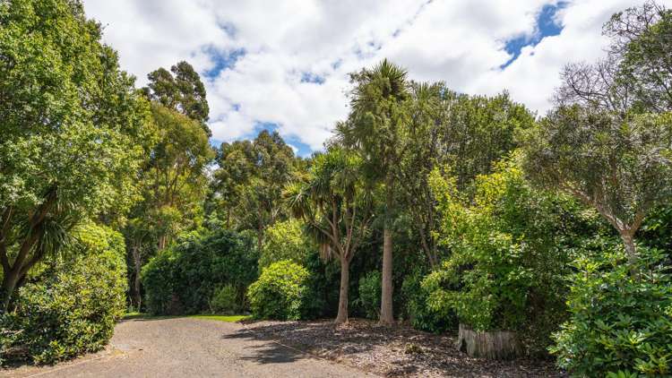 306 Reynolds Valley Road Little River_21