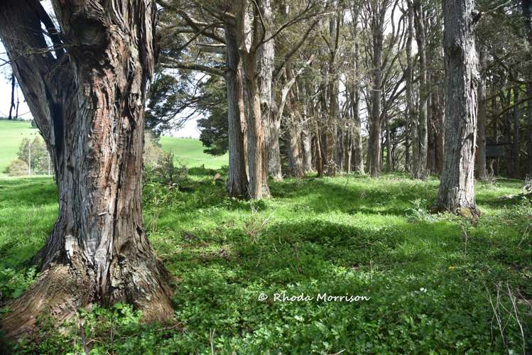 726 Paparoa Station Road Maungaturoto_56