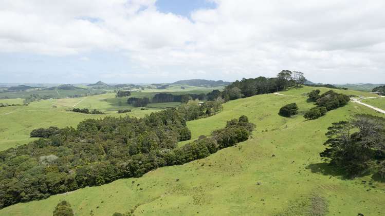 136 Simpkin Road Ruawai_25