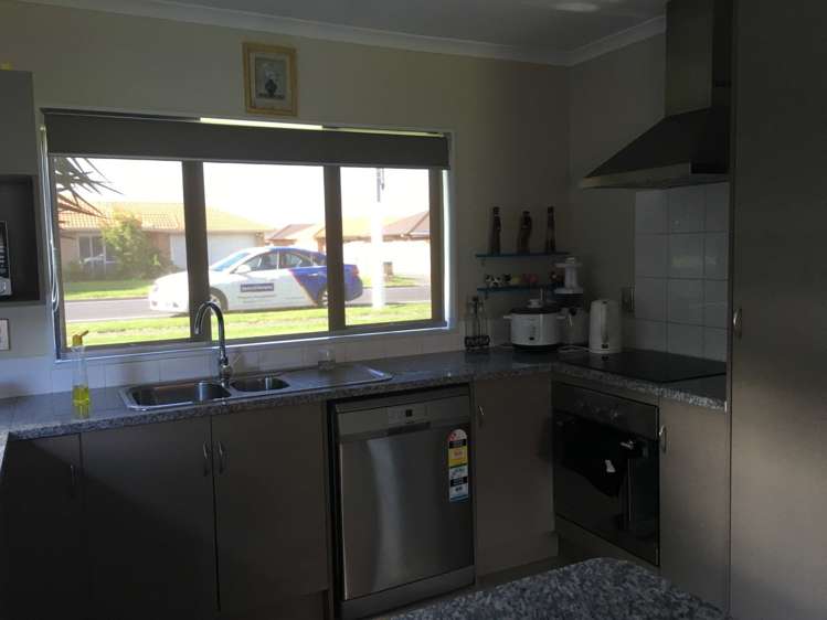 103 Palmers Road Clendon Park_3