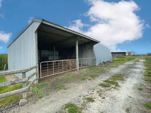 65 Heawa Road Dargaville_3