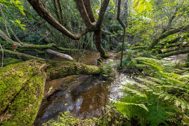 Lot 2 Jacaranda Ridge Te Puna_3