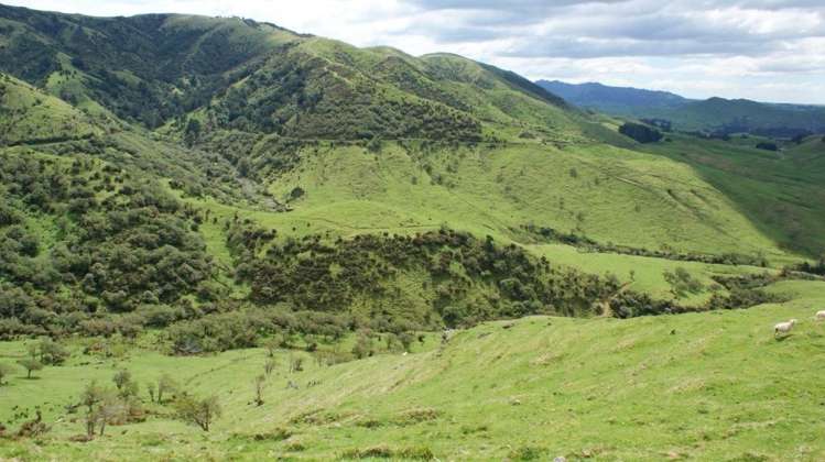 15 Hinerua Road Ongaonga_13