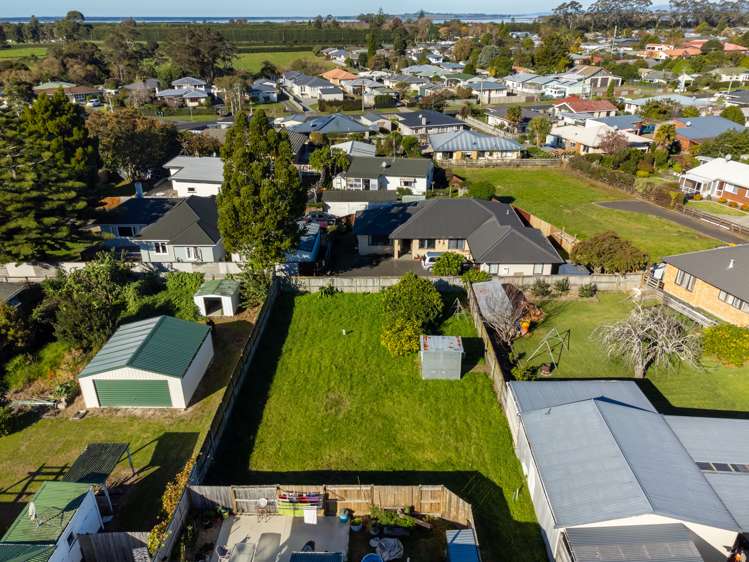 21a Park Road Katikati_7
