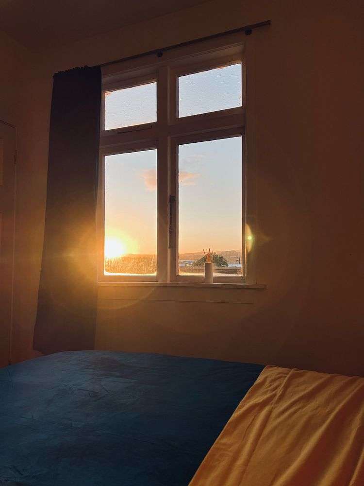 91B Queens Drive Lyall Bay_9