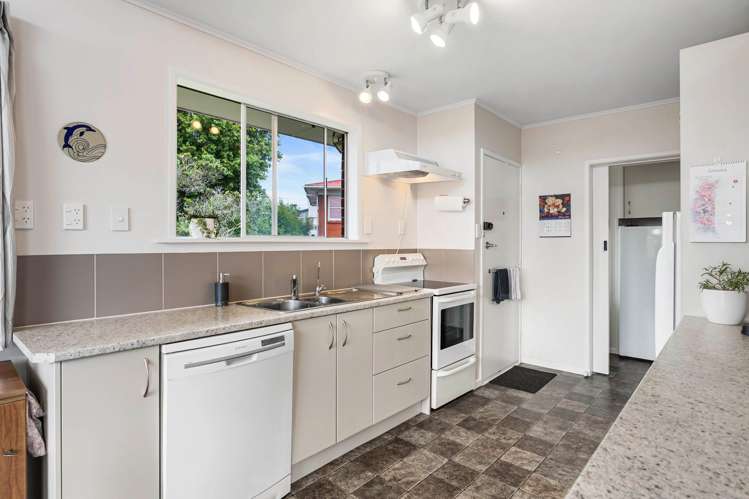 19 Cradock Street Avondale_5