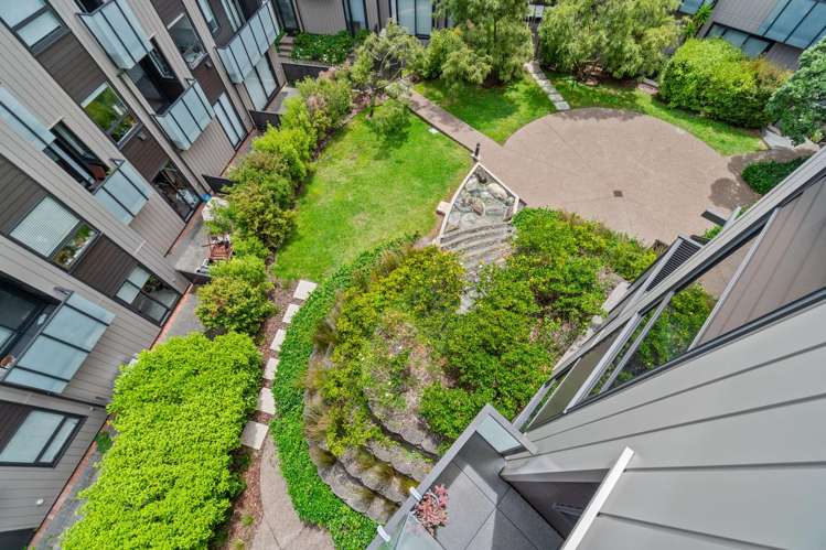 11 Mary Street Mount Eden_6