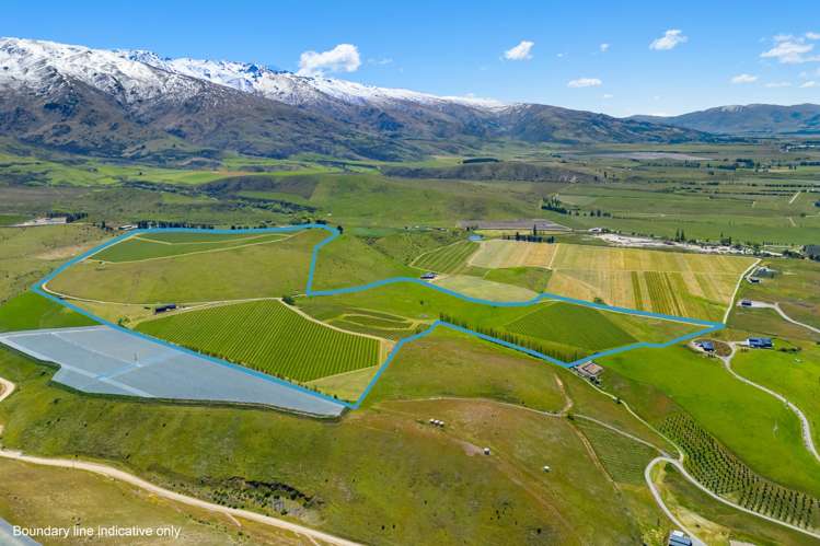 1005 Luggate-Cromwell Road Mount Pisa_38