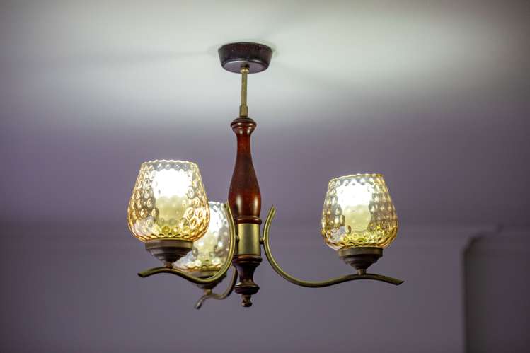 7 Griffiths Place Claudelands_11