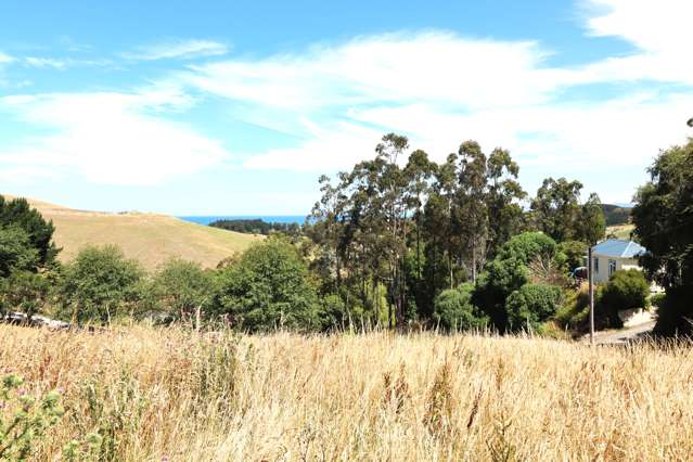 Lot 1 Maude Street Oamaru_2