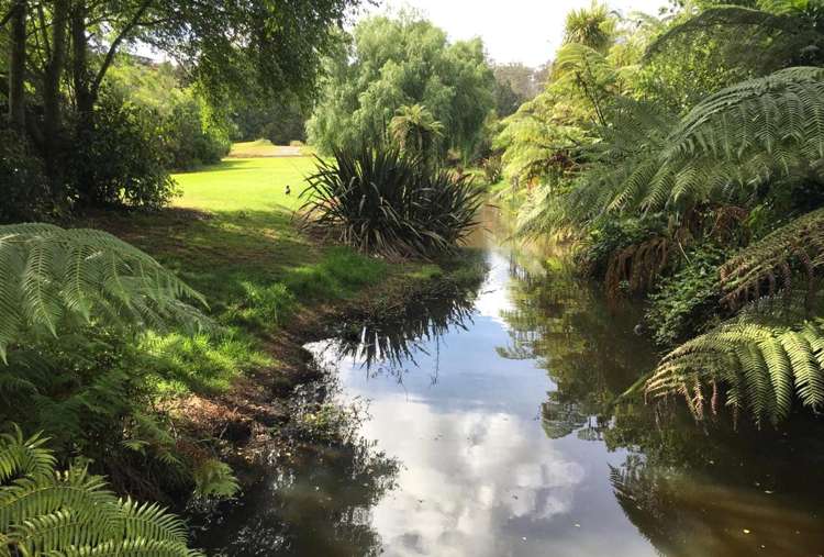 4 Kingston Place Kerikeri_4