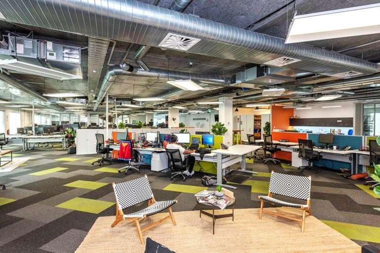 16 Normanby Road Mt Eden_2