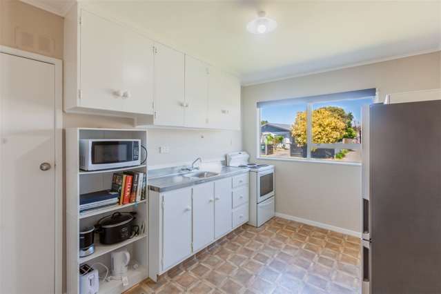 16 Guildford Street Tamatea_3