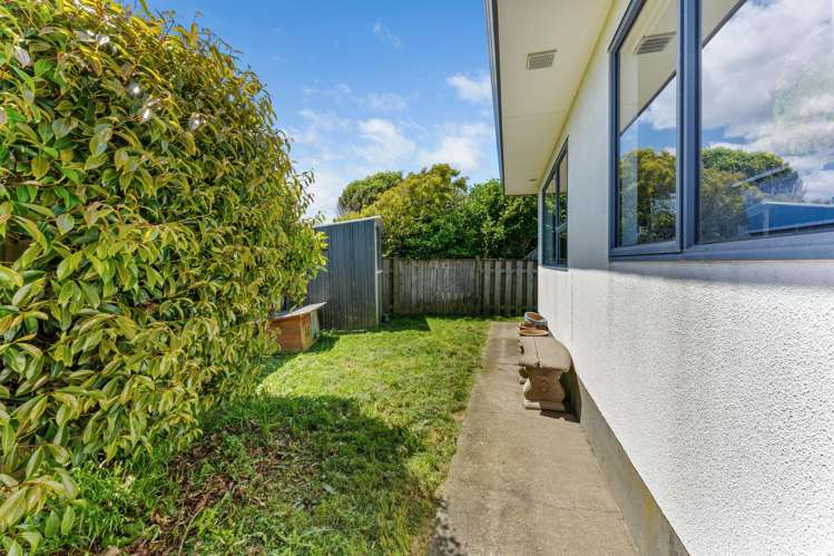 34A Fisher Street Johnsonville_12