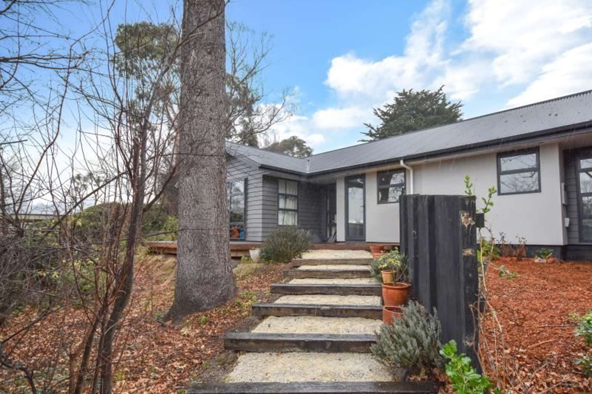 4b Will Street Green Island_0