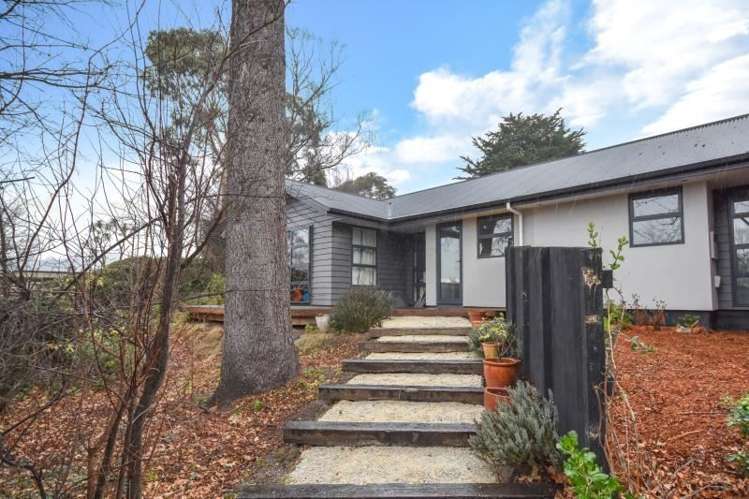 4b Will Street Green Island_0