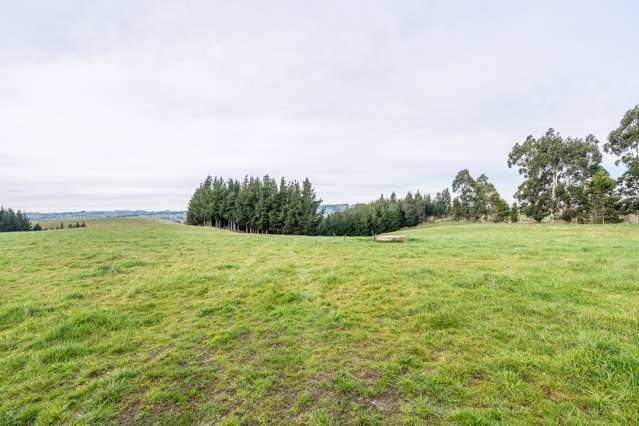 22 Paterson Road Waimumu_1