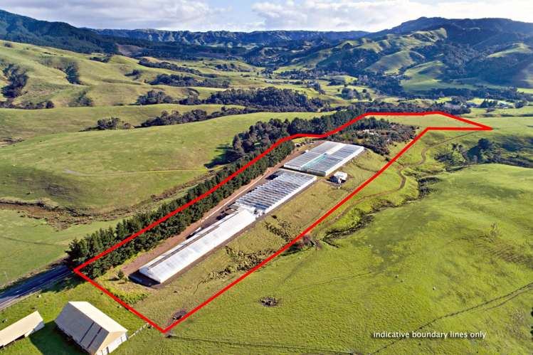 80 Orere-Matingarahi Road Orere Point_21