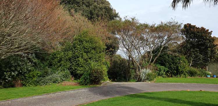 1343 Devon Road Waitara_20