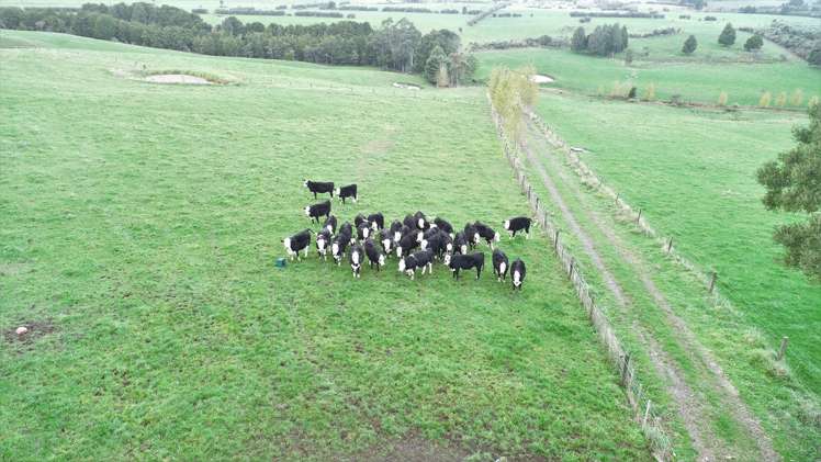 4318 State Highway 12 Kaikohe_15