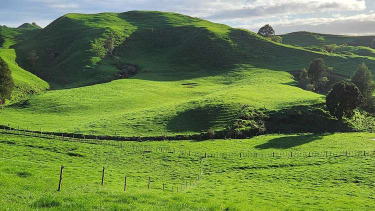 794 Tariki Road Ratapiko_21