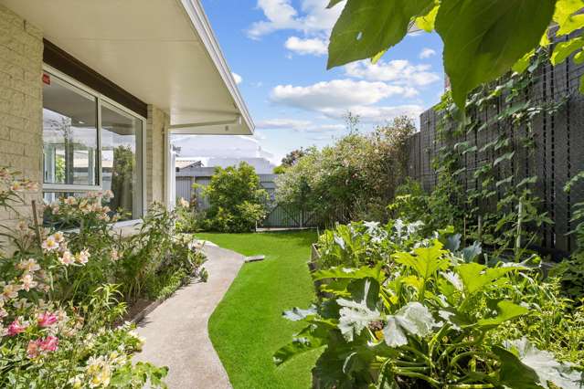 9B Edinburgh Street Pukekohe_1