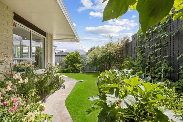 9B Edinburgh Street Pukekohe_1